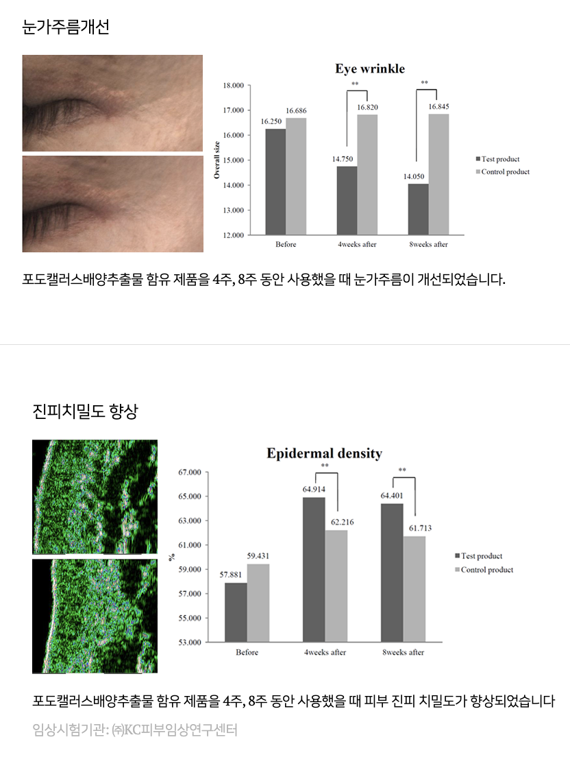 임상시험(내용)