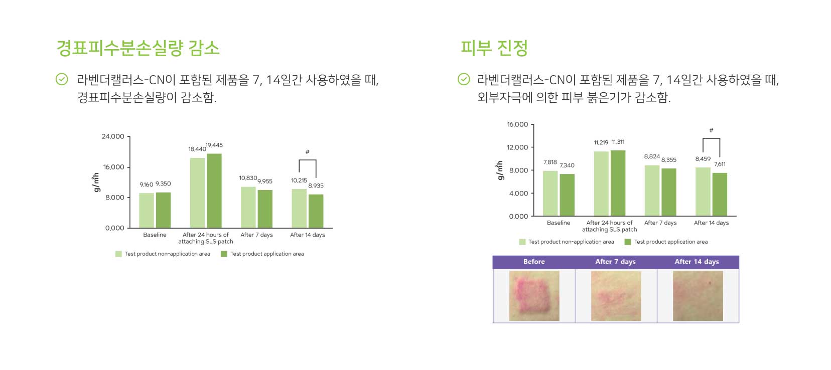 임상시험(내용)