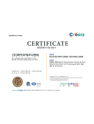 ISO 9001 (품질경영시스템)