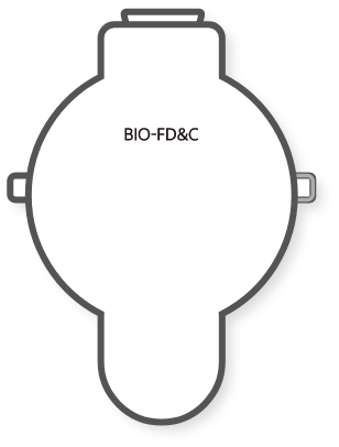 Plant Cell